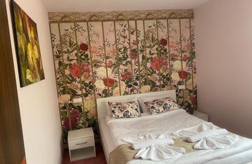 Medias House | Family-Friendly Retreat at Pensiunea Irish with Top Ratings