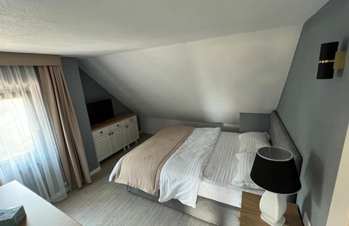 Toplita Villa | Experience Pensiunea Izabella: Top-Rated Family Retreat