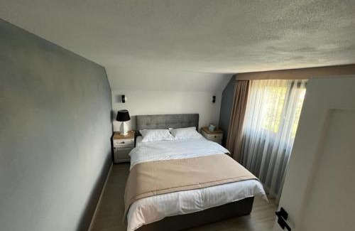 Toplita Villa | Experience Pensiunea Izabella: Top-Rated Family Retreat