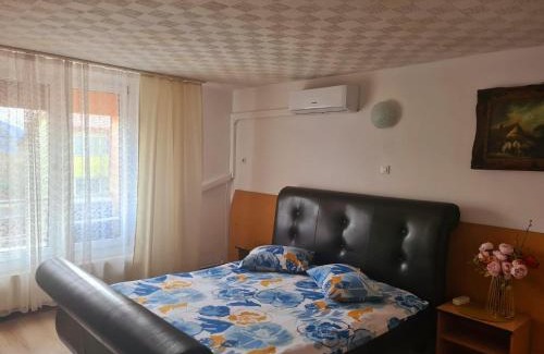 Calea Sever Bocu House | Pet-Friendly Pensiunea King with Hot Tub & High Ratings