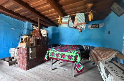 Poienile Izei House | Pensiunea La Domnița