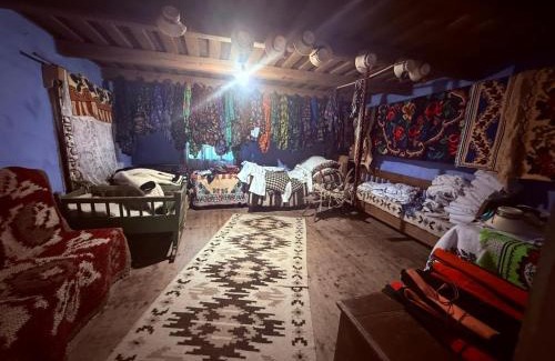 Poienile Izei House | Pensiunea La Domnița