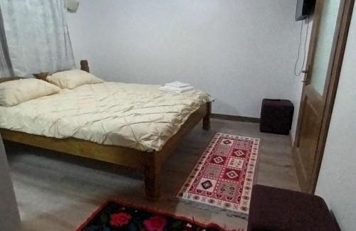 Vadu Izei House | Pet-Friendly Stay at Pensiunea La Gorgan - Rated 9/10