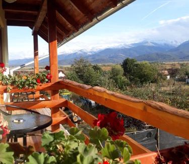 Cartisoara House | Idyllic PENSIUNEA LEIA: Poolside Retreat on Transfăgărășan