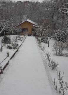 Cluj-Napoca House | Child-Friendly Pensiunea Lucia Ana - Guest Rated 8.9/10