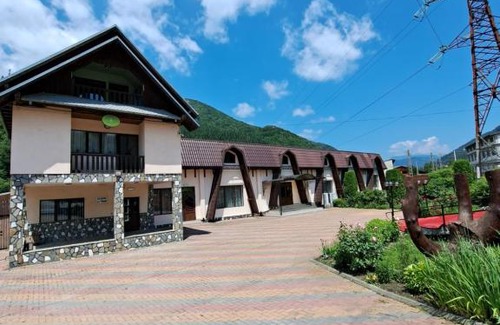 Dragoslavele House | Discover Pensiunea Lyana: Family-Friendly with Breakfast!