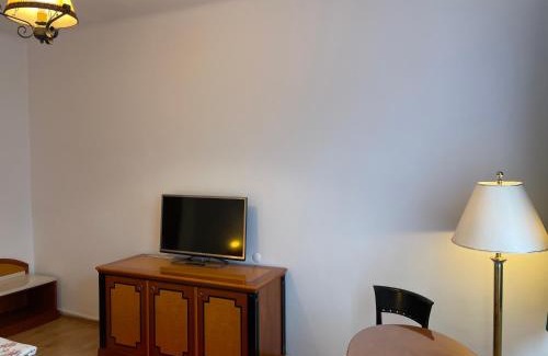 Medias Apartment | Discover Family-Friendly Comfort at Pensiunea Mimi