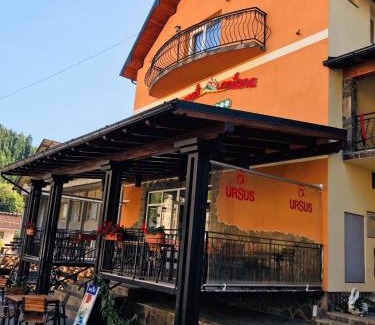Borsa House | Pet-Friendly Pensiunea Montana Borșa MM - Guest Rated 10/10