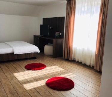 Borsa House | Pet-Friendly Pensiunea Montana Borșa MM - Guest Rated 10/10