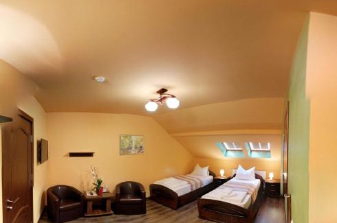 Tirgu Mures House | Budget-Friendly Stay at Pensiunea Muresul with Kitchen Access