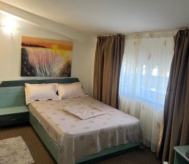 Craiova House | Pet-Friendly Retreat at Pensiunea Nicolas with Breakfast
