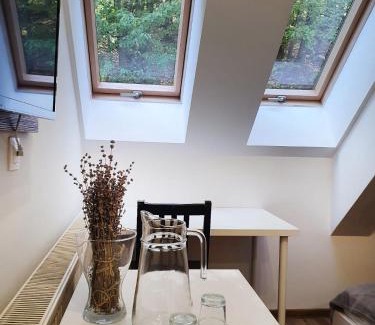 Livezeni Bed & Breakfast | Pet-Friendly Retreat at Pensiunea Nossa Panzió