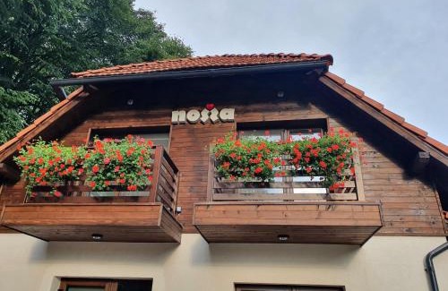 Livezeni Villa | Guest Rated 10/10 at Pensiunea Nossa Panzió with Pool & More