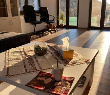 Livezeni Villa | Guest Rated 10/10 at Pensiunea Nossa Panzió with Pool & More