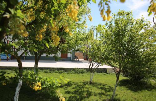 Tulcea County House | Family-Friendly Retreat at Pensiunea Palaghia - Rated 10/10