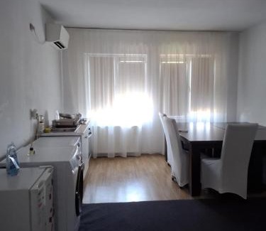 Techirghiol Apartment | Discover Pensiunea Piticilor: 9.4/10 and Oceanfront Bliss