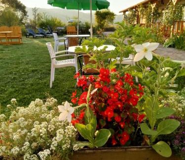 Poieni House | Oceanfront Retreat at Pensiunea Poezii Alese - 9.1/10 Rating