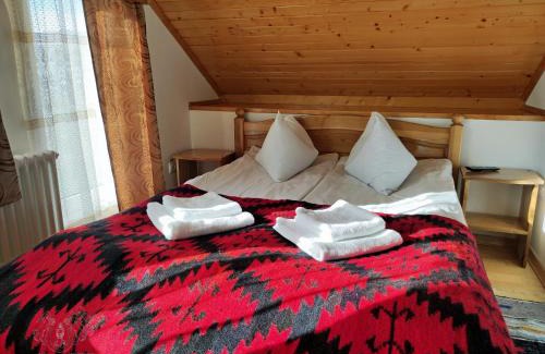 Viseu de Sus House | Budget-Friendly Pensiunea Potcovaru with Family Amenities