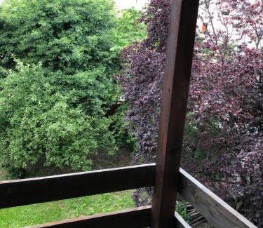 Ramnicu Valcea House | Affordable Comfort at Pensiunea Residence: Guest Rated 7/10