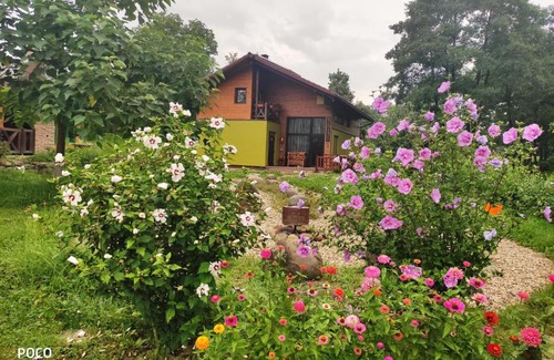 Sieu House | Explore Pensiunea Rosenhof: A Culinary Retreat Awaits