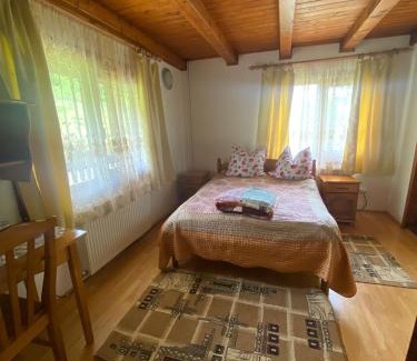 Viseu de Jos House | Exceptional Pensiunea Simina: Child-Friendly Haven