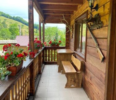 Viseu de Jos House | Exceptional Pensiunea Simina: Child-Friendly Haven