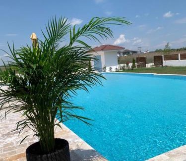Murighiol House | Discover Pensiunea Taisia: Family-Friendly with Pool Access