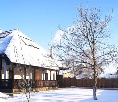 Mitocu Dragomirnei House | Top-Rated Pensiunea Tara Fagilor: Family-Friendly Retreat