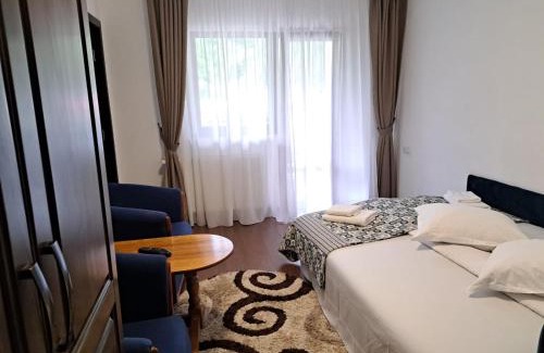 Pojorita House | Discover PENSIUNEA TEOMIR: Family-Friendly Escape