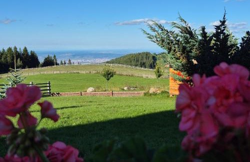 Gura Raului House | Discover Pensiunea Turistică Vălari: 4-Star Family Retreat