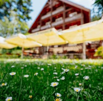 Baile Tusnad House | Cozy Pensiunea Vanatorul: Poolside Escape Awaits You