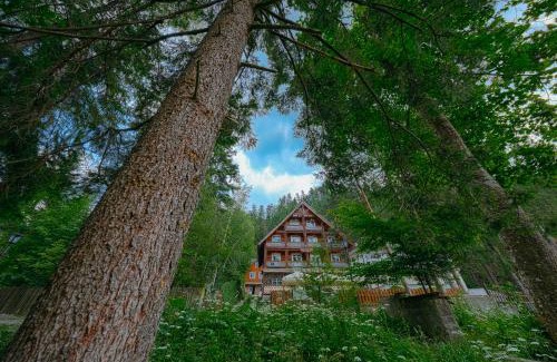 Baile Tusnad House | Cozy Pensiunea Vanatorul: Poolside Escape Awaits You