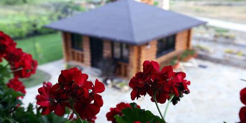 Bucsoaia House | Exceptional Guest Houses in Gura Humorului, Romania