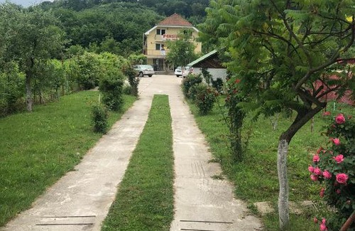 Hidiselu de Sus House | Pet-Friendly Pensiunea Vidra with Kitchen & Hot Tub