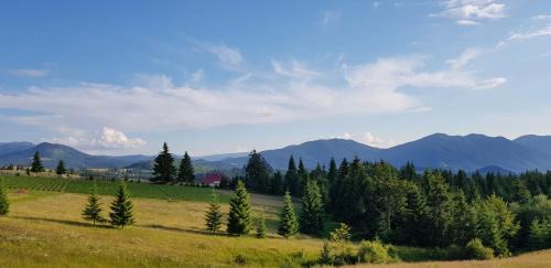 Piatra Fantanele House | Inviting Pensiunea Zana Muntilor: Top-Rated Family Retreat