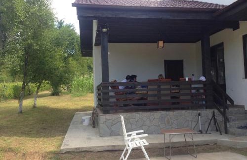 Izvoru Villa | Discover Pensiunea Zina: Pet-Friendly and Family Welcome!