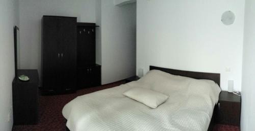 Izvoru Villa | Discover Pensiunea Zina: Pet-Friendly and Family Welcome!
