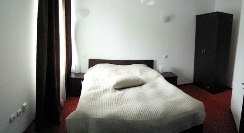 Izvoru Villa | Discover Pensiunea Zina: Pet-Friendly and Family Welcome!