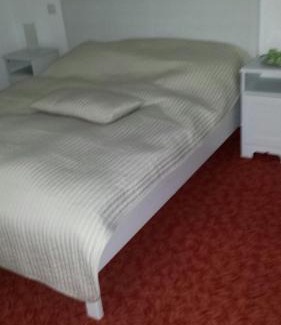 Izvoru Villa | Discover Pensiunea Zina: Pet-Friendly and Family Welcome!