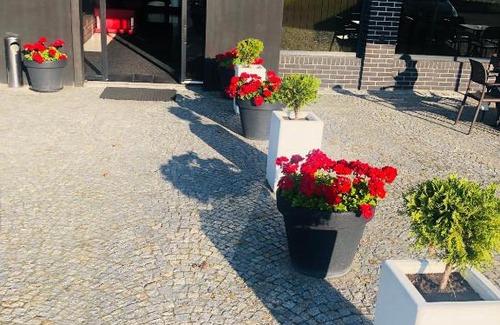 Jelcz-Laskowice Bed & Breakfast | Discover Pensjonat Trzy Stawy: Family & Pet Friendly Retreat