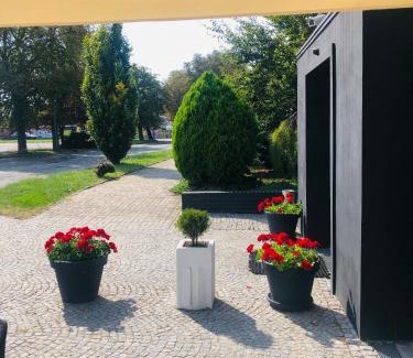 Jelcz-Laskowice Bed & Breakfast | Discover Pensjonat Trzy Stawy: Family & Pet Friendly Retreat