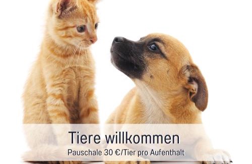 Ueberlingen Apartment | Indulge in FerienwohnenAmSee Penthouse with Hot Tub