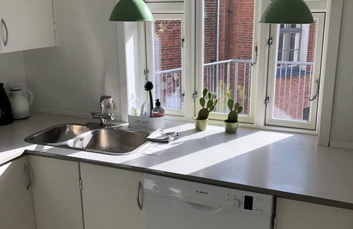 Ribe Apartment | Elegant Penthouse Steps from the Old Town Hall