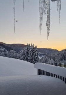 Reichenau Apartment | Exclusive Penthouse Skyview in Nature Park Bad Kleinkirchheim
