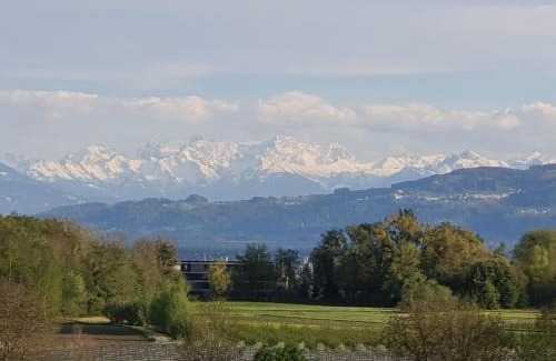 Kressbronn Apartment | Scenic Penthouse Weitblick with Breathtaking Lake Views