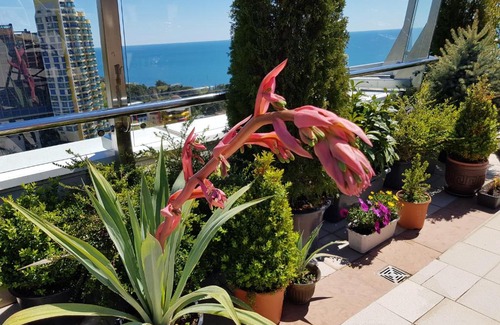 Sochi City Centre Apartment | Elevated Penthouse with Pool and Family-Friendly Amenities