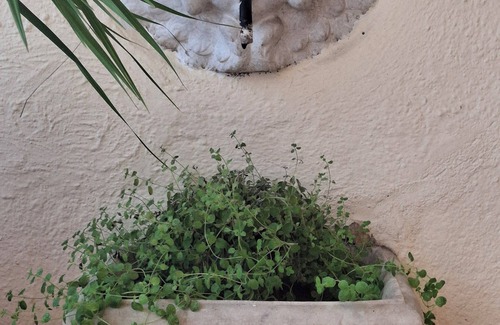 Ostiense Apartment | Penthouse with verdant terrace in the Garbatella 20 minutes from the Colosseum
