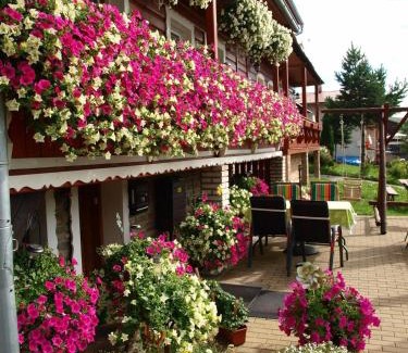 Zdiar House | Budget-Friendly Stay at Penzión Blanka with Hot Tub & Breakfast