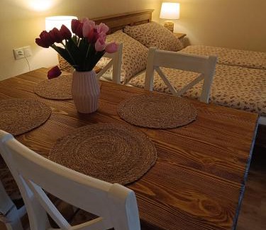 Spisske Tomasovce House | Experience Penzión Thamasy: Guest Rated 10/10 with Hot Tub