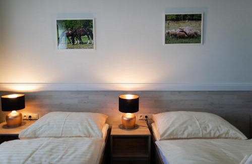 Nemsova House | Discover Penzión Uhliská: A Pet-Friendly Retreat